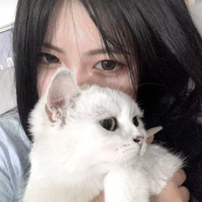 360兵器少女手游下载