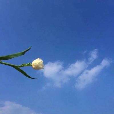 全民三国大战九游版下载